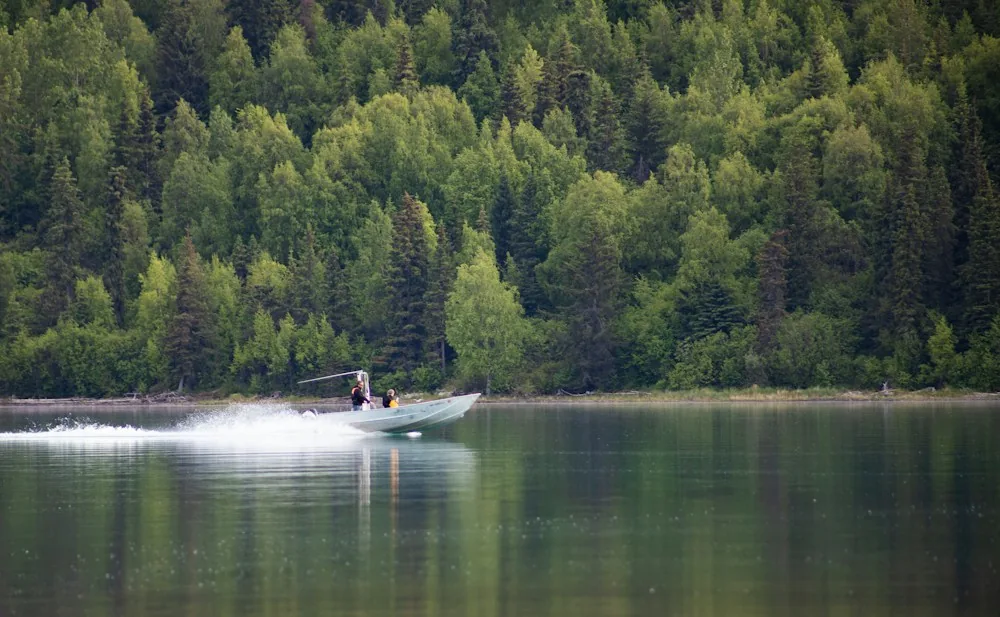 White motorboat travelling across a lake beside a forested shoreline